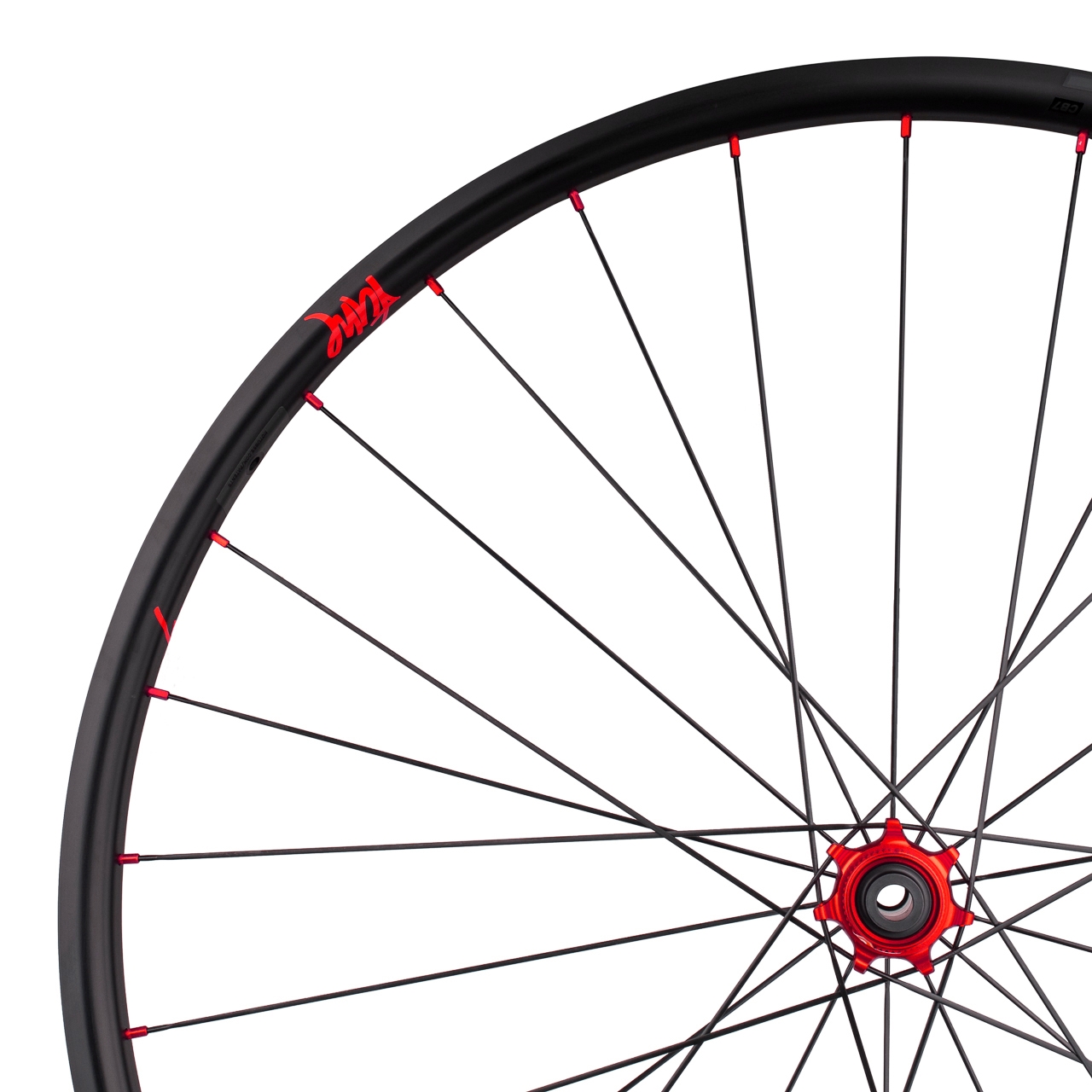 Schwarzbrenner 20 Disc Skyline front wheel Tune Premium Bike parts