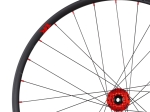 Race 25 29" front wheel