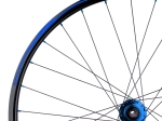 TSR22 Disc Hinterrad