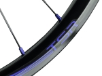 TSR22 Disc Hinterrad