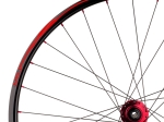 TSR22 Disc rear wheel