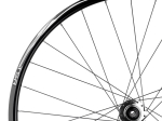 TSR22 Disc Hinterrad