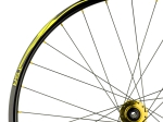 TSR22 Disc Hinterrad