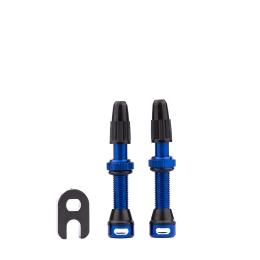 Tubeless-valve set